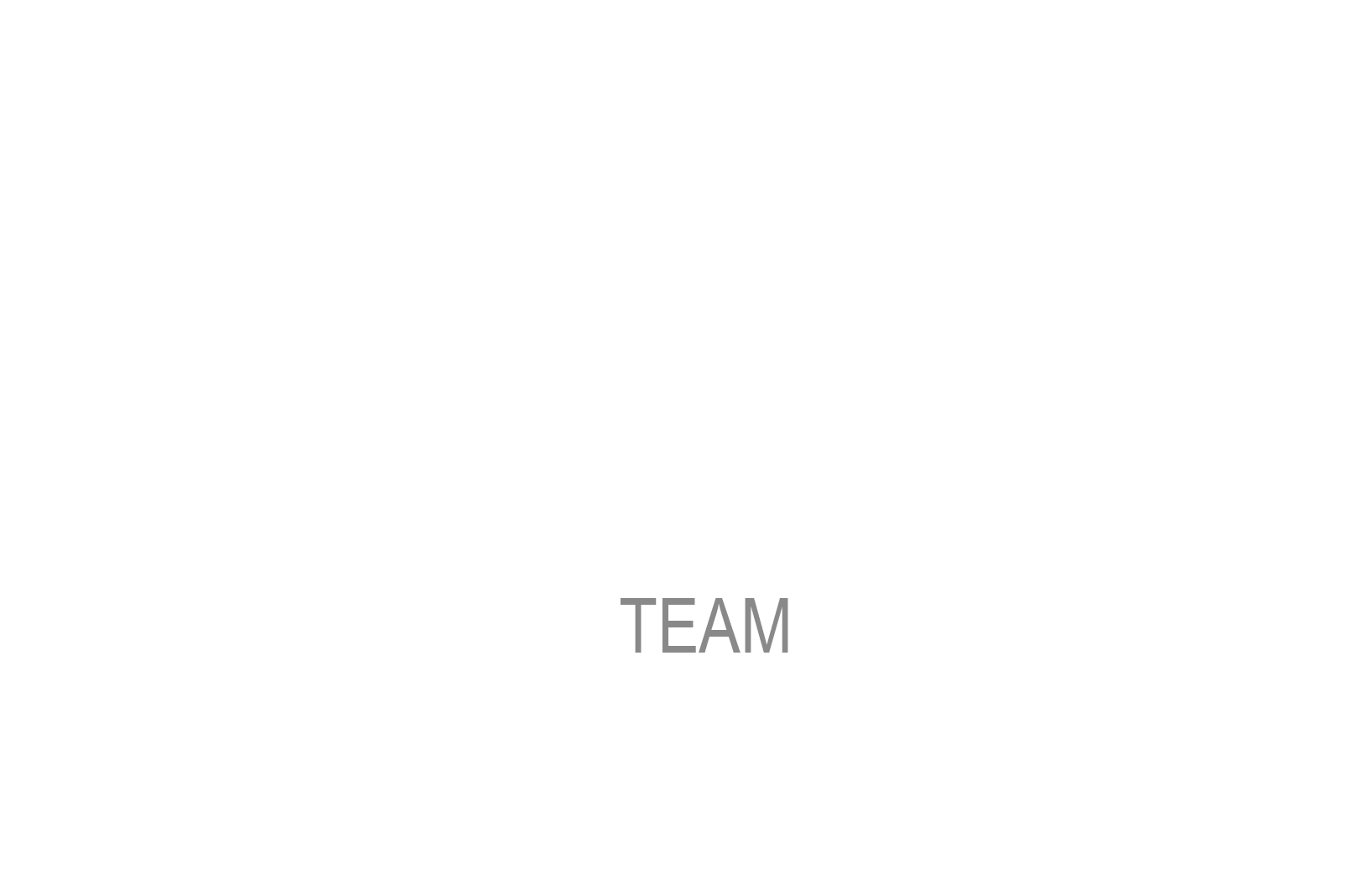 The DeSpain Team